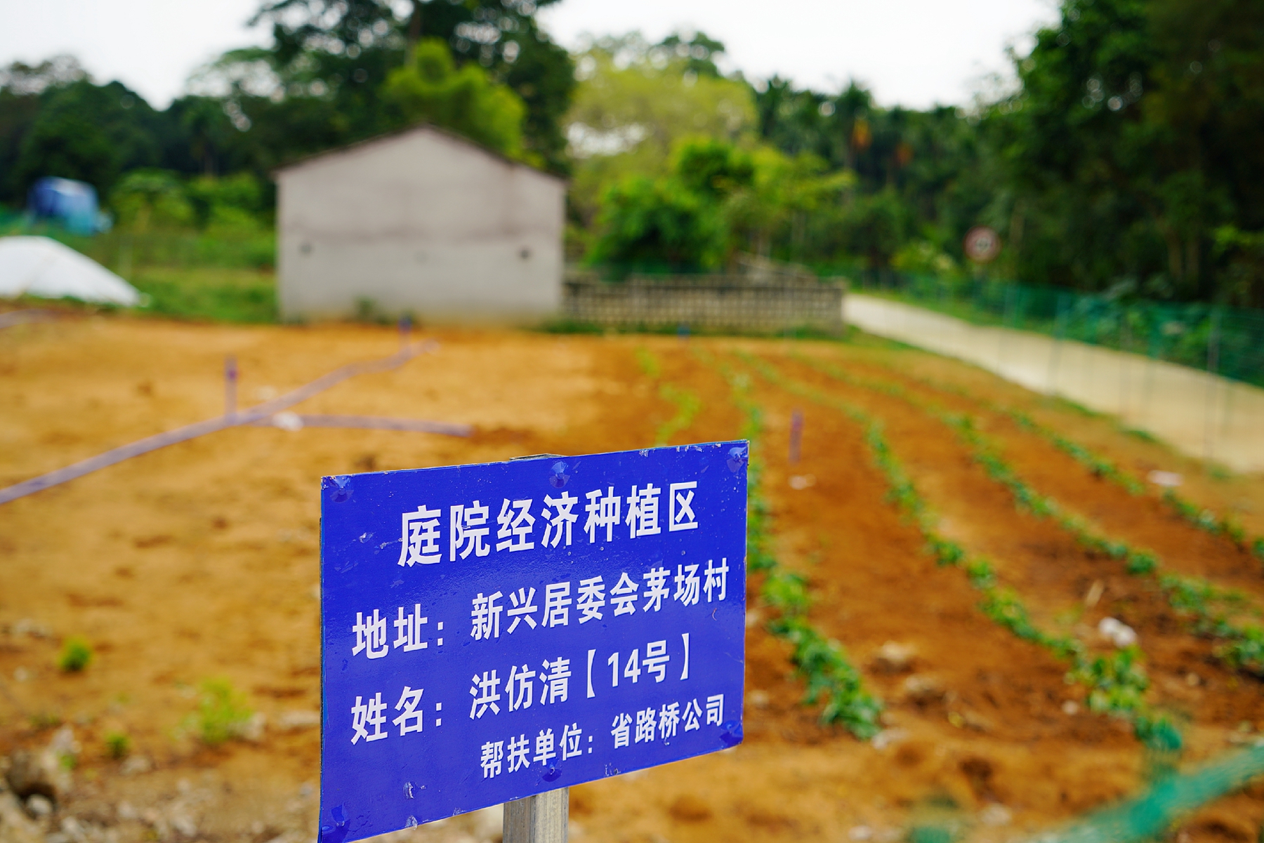 EVO厅·(中国区)视讯官网